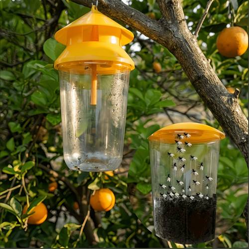 1 insect trap and reusable non toxic and electricity free no power required suitable for vegetable gardens and bee planting used indoors and outdoors for a long time can trap small flying insects