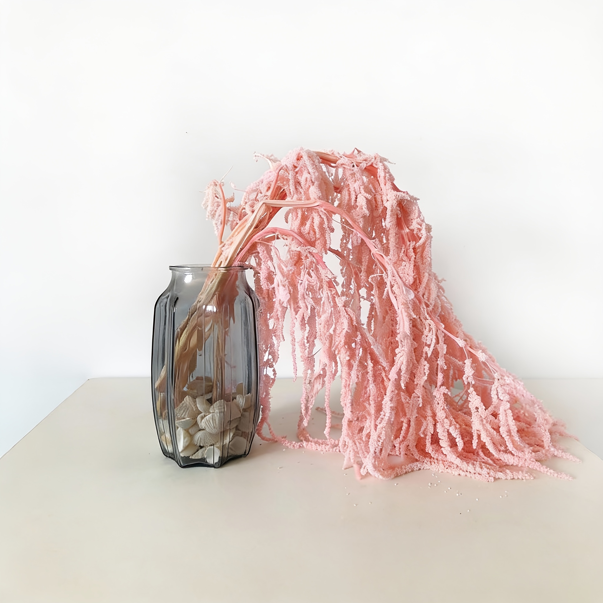 Pack Of 3 Dried Amaranthus Flowers, Bleached Wisteria Vines, Amaranthus Flowers, For Wedding Bouquets, Wall Decoration