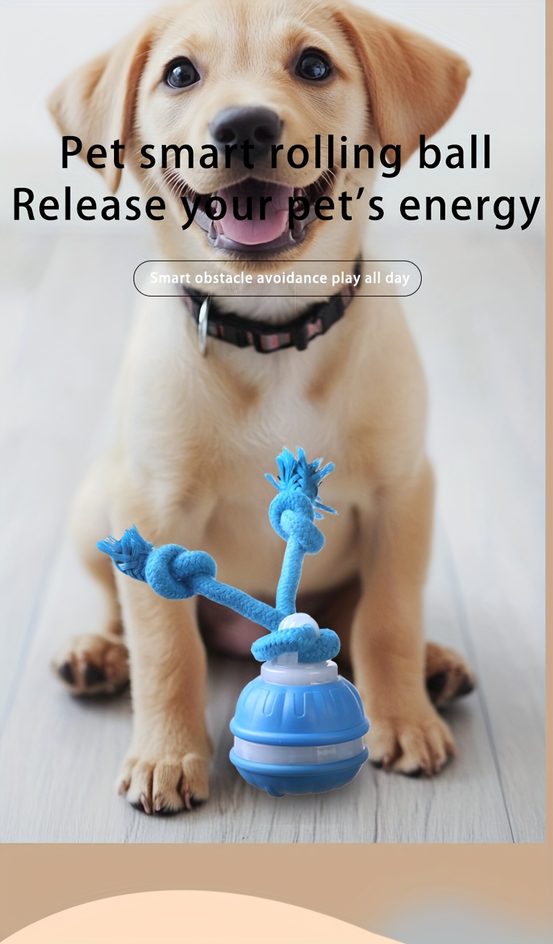 Puppy Self Play Dog Toys Rollraptor Interactive Pet Toy Ball