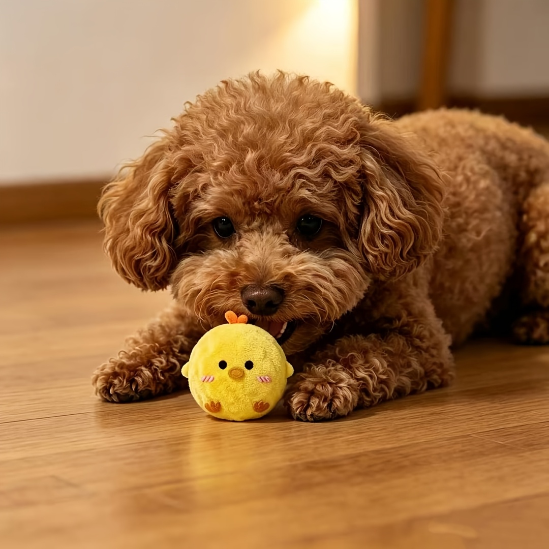 5pcs Set Yellow Chick Pet Interactive Bouncing Squeaky Toy Ball