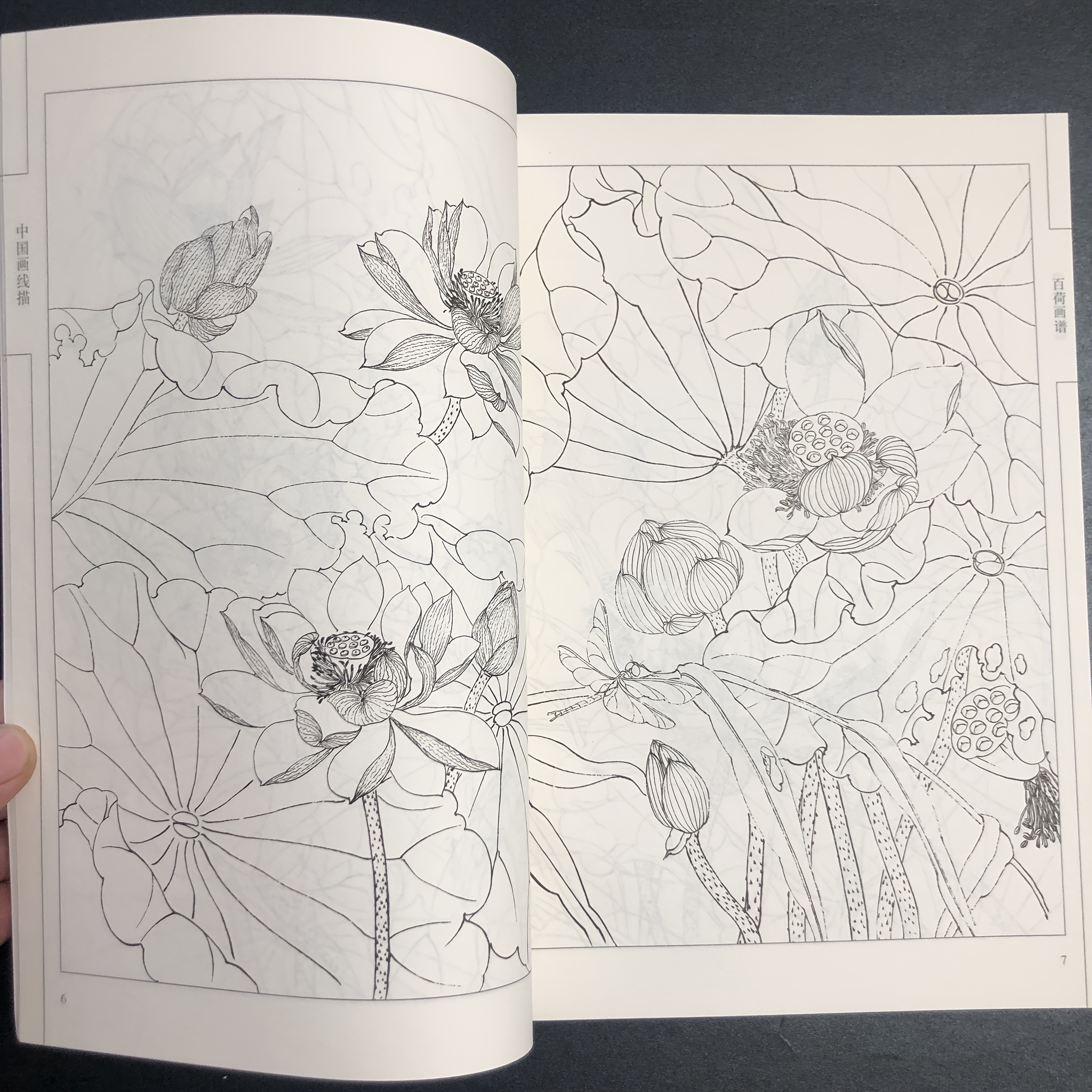 Chinese Line Drawing, a Collection of Lotus Paintings, Suitable for Teenagers And Adults for Stress Relief, DIY Coloring Book, Watercolor, Ink Painting, Oil Painting, Collection of Chinese Art, Chinese Painting Art. Chinese Version
