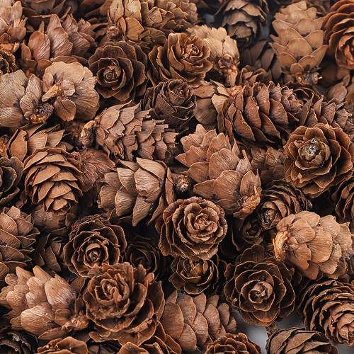 item picture 198 mini pine cones for christmas decor ideal for holiday displays and party embellishments vintage style christmas ornaments