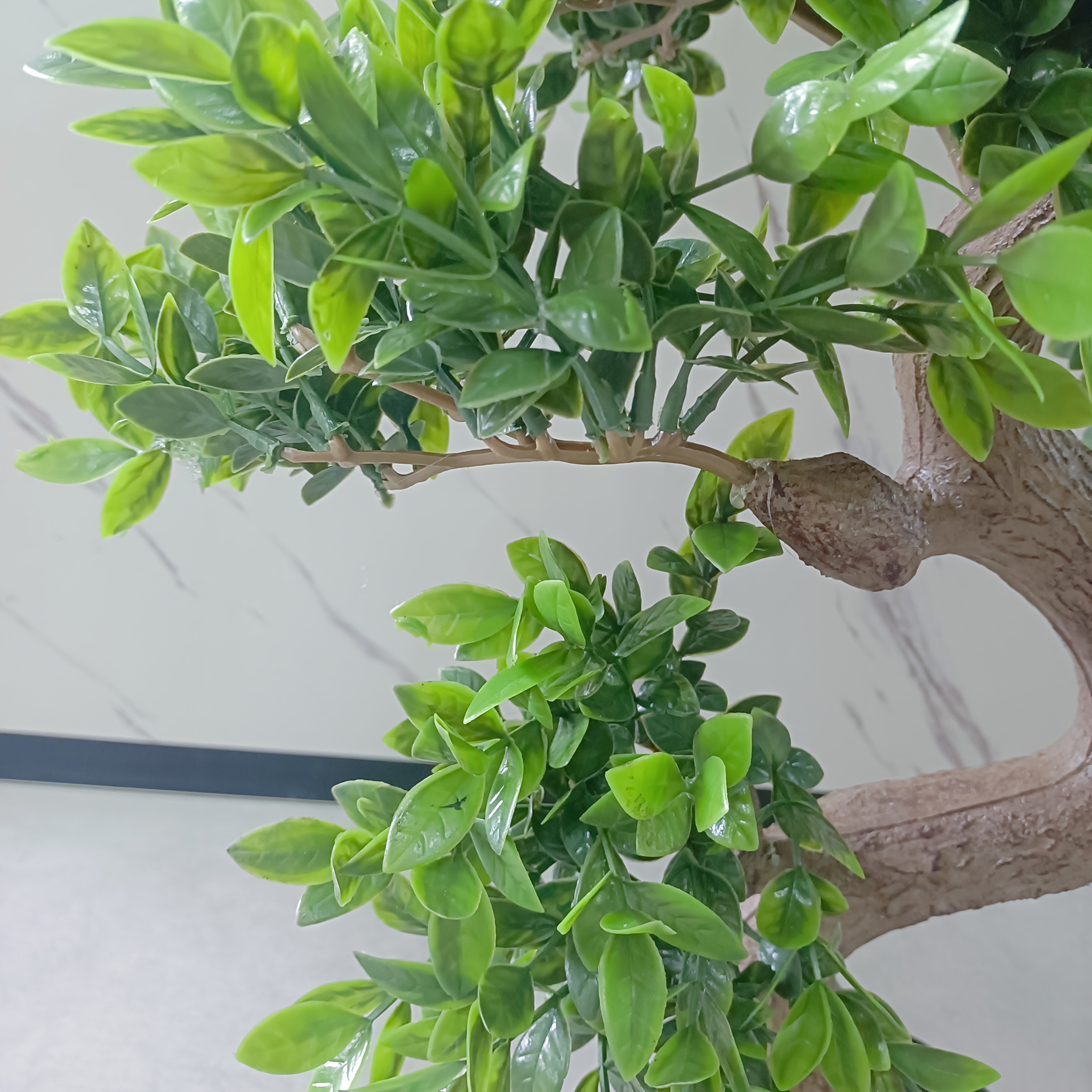 33 46 zoll neuer s frmiger geldbaum bonsai - Temu Germany