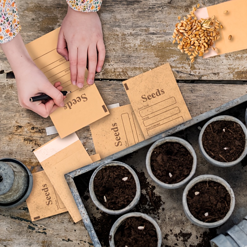 seed storage album garden seed organizer binder self sealing - Temu United  Arab Emirates