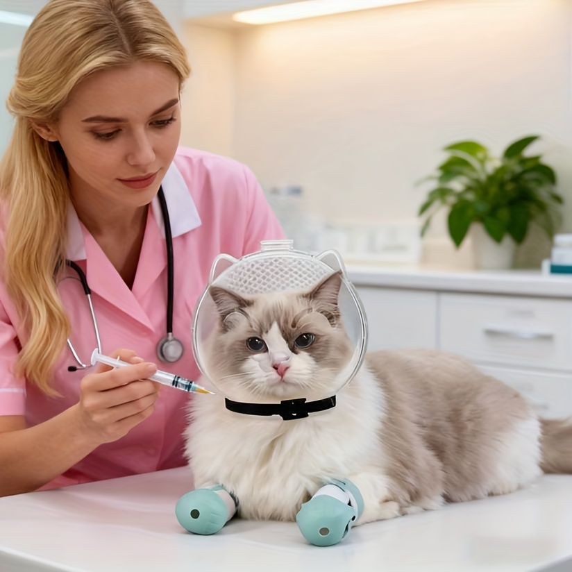 Ensemble de protection pour chat, collier Elizabeth transparent et respirant, comprenant 1 protège-tête et 4 protège-pattes, -léchage et -morsure, spécialement conçu pour le toilettage et le bain, durable et réutilisable