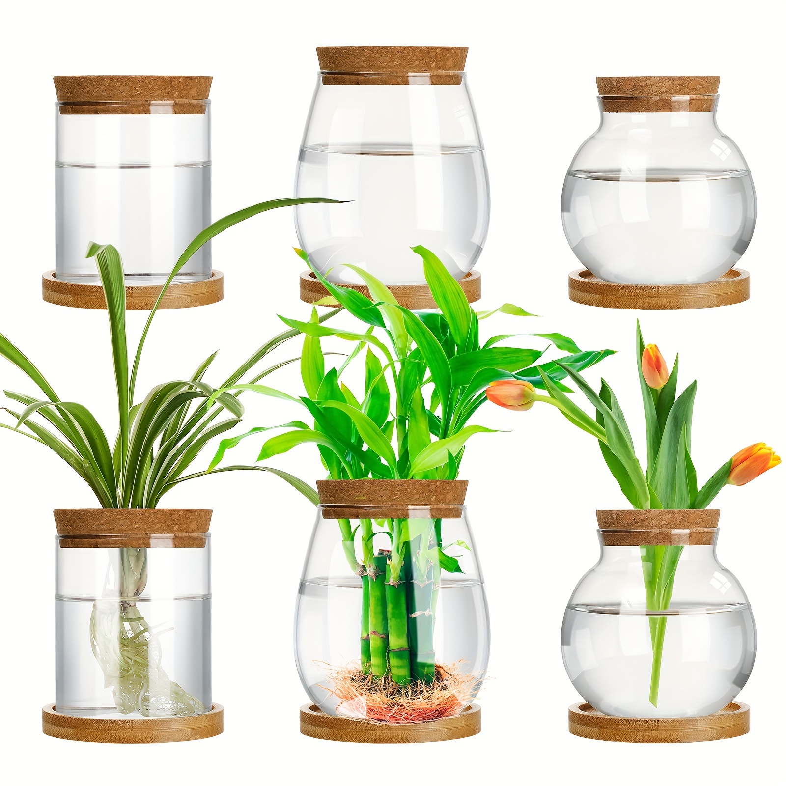 

Outus 6pcs Plants Propagation Station Separated Desktop Plant Terrarium With Wood Lid And Stand 3 Sizes Glass Planter Propagated Jars Propagation Vases For Indoor Home (), Shelf Baskets