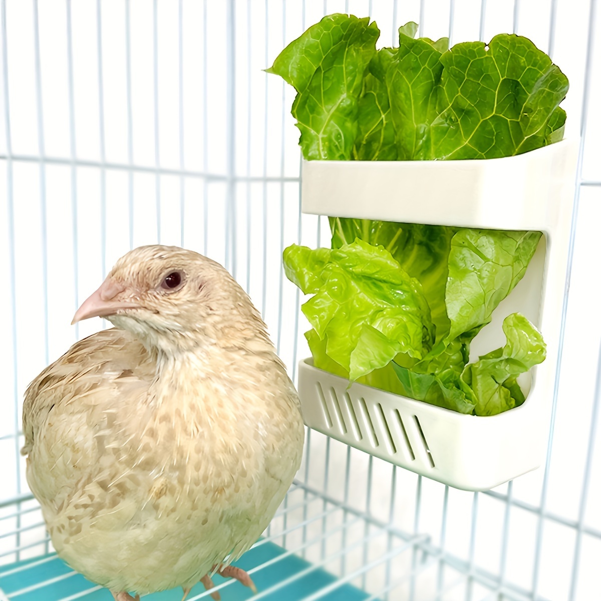 

A White Feeding Stand For Parrots, Suitable For Fruits And Vegetables.