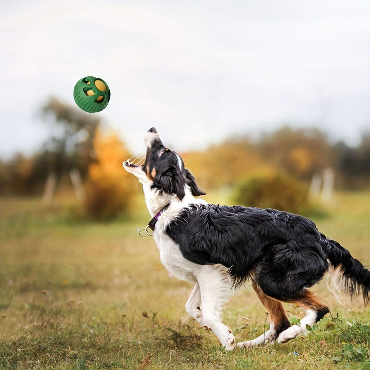 

1pc Bol à Lente en Chien - Interactives Mâcher & Entraînement à , Moule à à Nettoyer, Matériau Chiens, Favorise des Alimentaires Saines, le Jeu à /Extérieur, Convient à Toutes les de Chiens