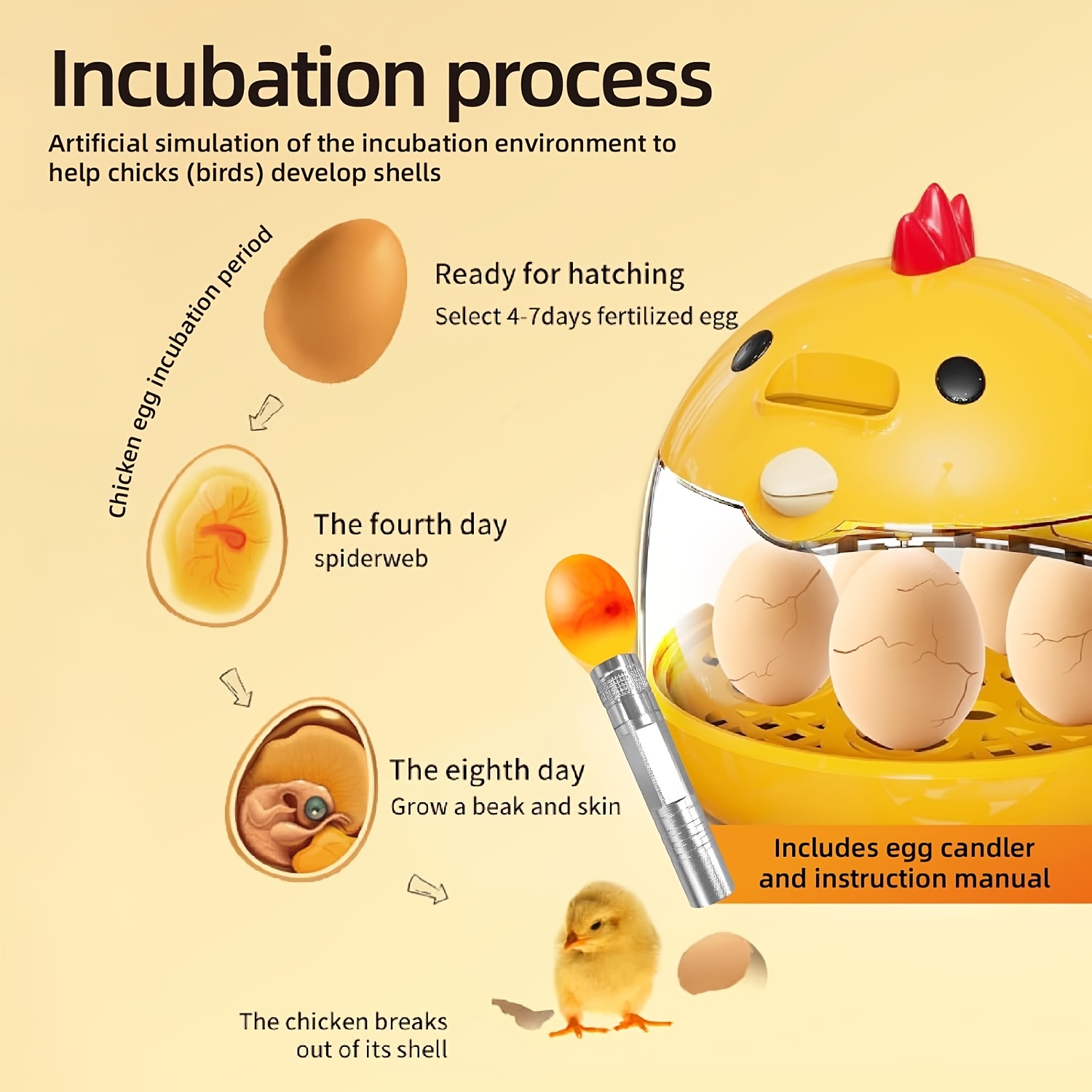 mini egg incubator capacity for 5pcs chicken eggs or 10pcs bird eggs 5v 2a safe voltage with set cute design suitable for home use Product details 2