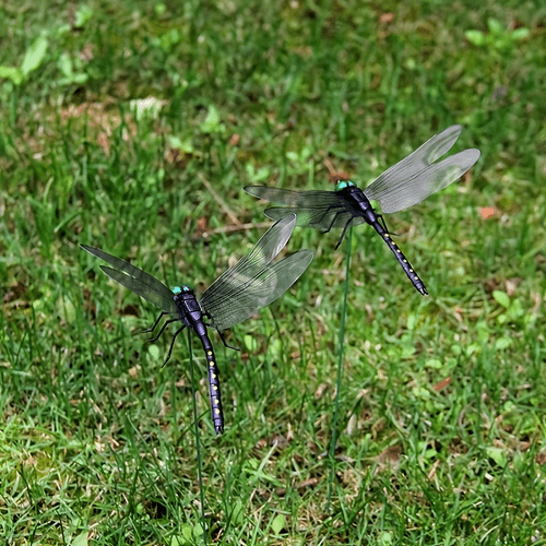 3 10 pack dragonfly garden signs durable plastic outdoor decor signs for easter halloween fall and thanksgiving