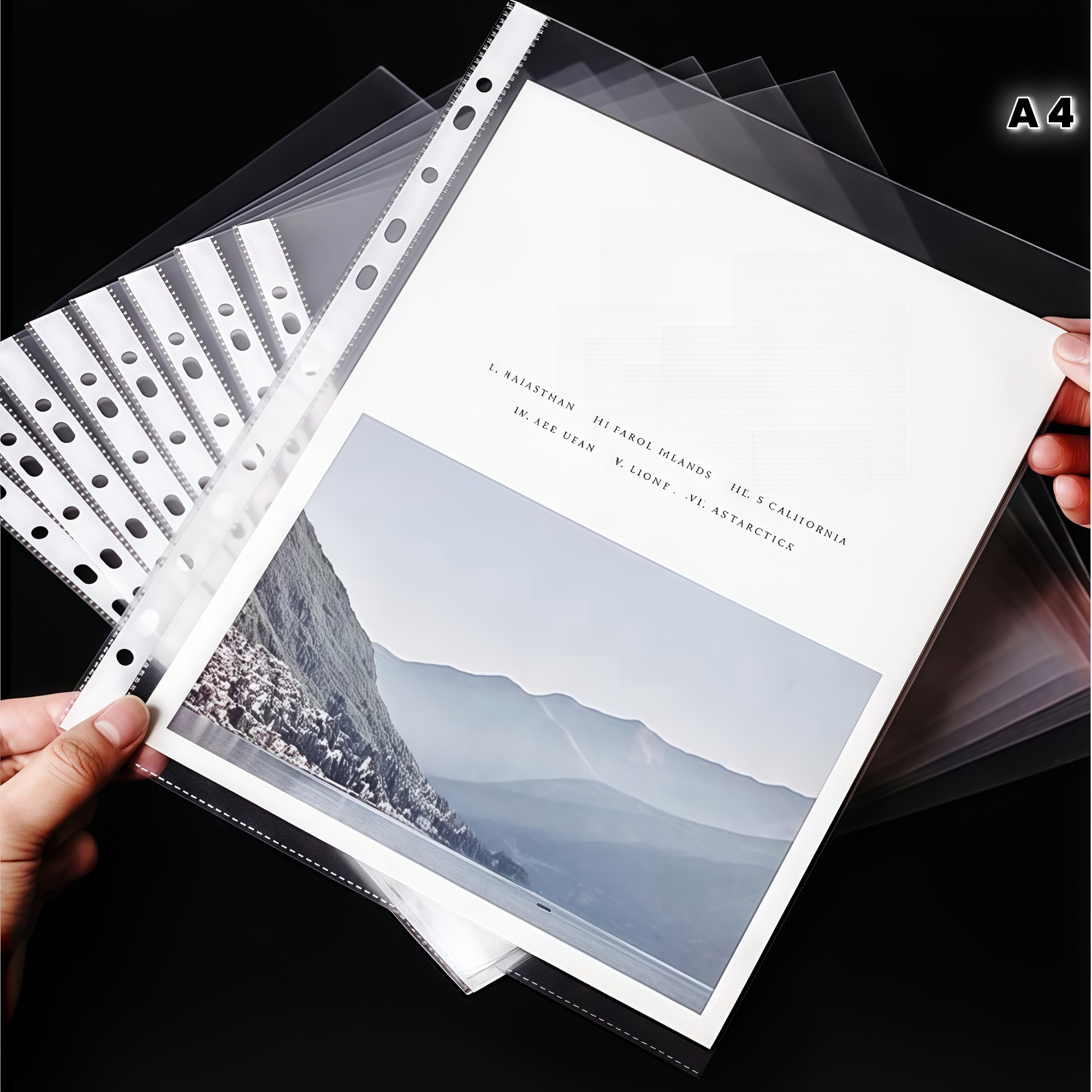 24-Pack A4 Plastic Folders - 6 Color Clear File Protectors For Office & School Documents