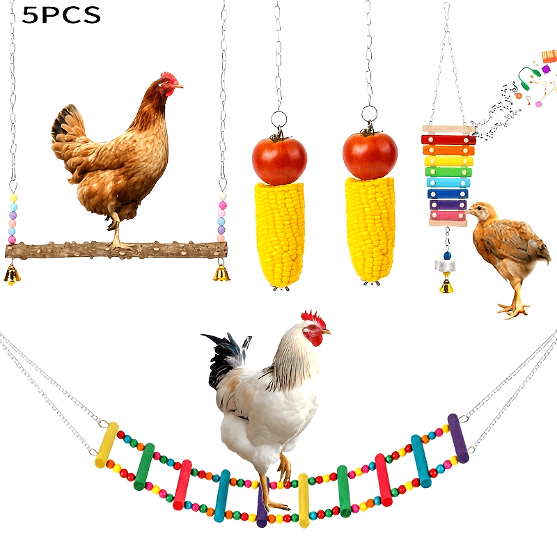 5pcs chicken toys for coop accessories chicken xylophone chicken swing perch chicken flexible ladder chicken vegetable fruit hanging feeders chicken enrichment for hens in coop bird parrot details 1