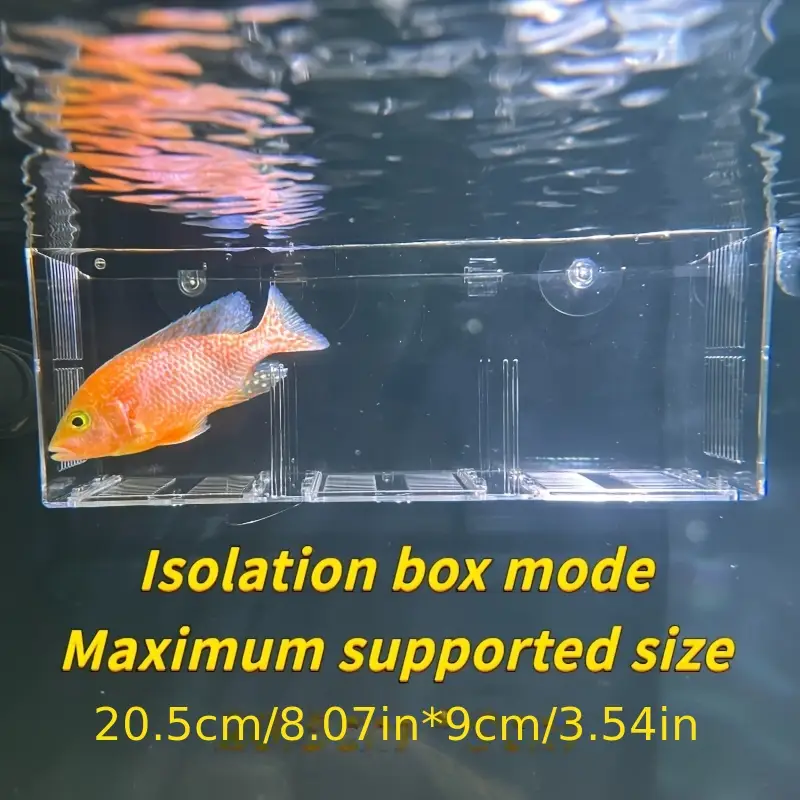 acrylic fish tank isolation box transparent square breeding - Temu Poland acrylic fish tank isolation box transparent square breeding - Temu Poland
