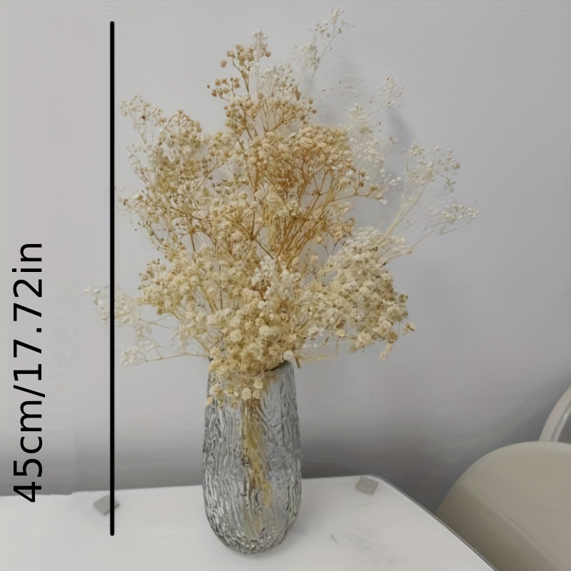 Dried Flowers Babys Breath Bouquet Ivory White Flowers Natural
