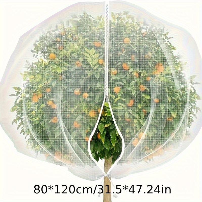TEMU Filet de pour Arbres Fruitiers, -Oiseaux, Protège Pommiers et Myrtiliers des Oiseaux, Nuisibles, Cerfs et Cicadas, Housse de avec Fermeture