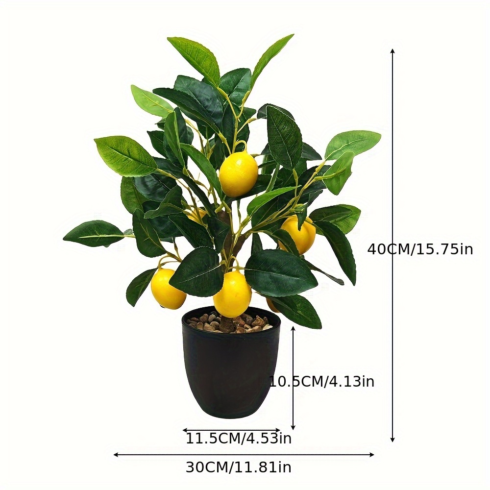 substrat monstera variegata MONSTERA DELICIOSA VARIEGATA MINT online kaufen bei potflourri main image 1