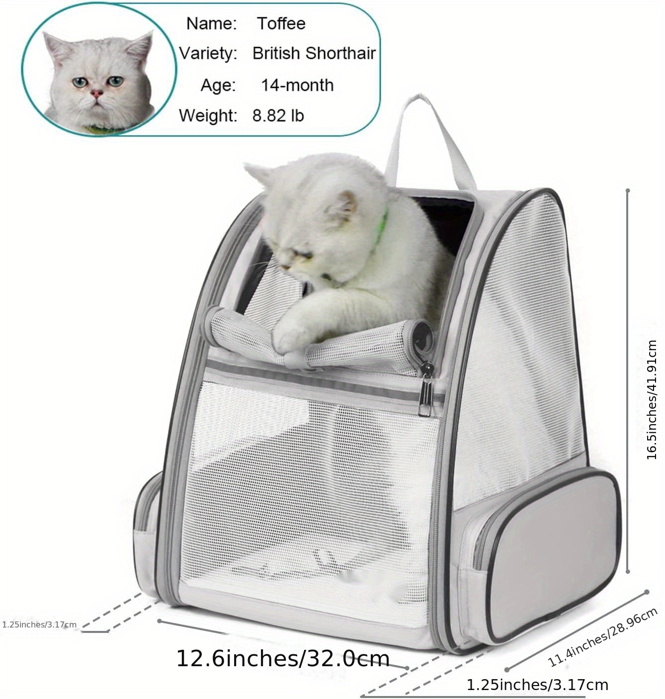 Sac de transport chat voyageur paisible haut de gamme – C'est tout chat :  Boutique en ligne pour les passionnés de chats
