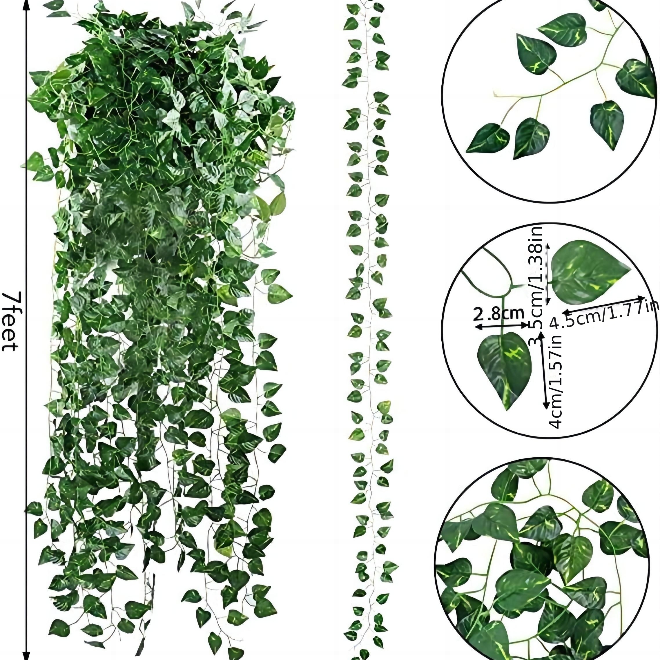 24 Pezzi, Edera Artificiale, Protezione Uv Foglie Verdi Appese Pianta Vite,  Adatto Decorazione Parete Giardino Cucina Festa Nuziale Estiva, Acquista  Ora Offerte A Tempo Limitato