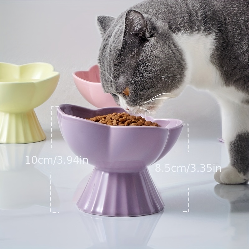 Elevated Transparent Cat Food Bowl With Slanted Stand - Temu