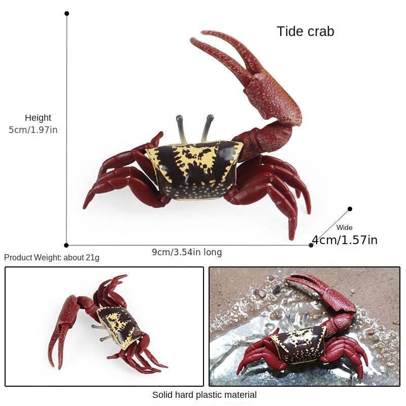 Ocean Sea Animal Model Figures Crab Hermit Crab Ray Fish Octopus  Educational Learning Toy Playset Figurine Gift For Kids Christmas Gifts For  Children Birthday Gifts - Toys & Games - Temu