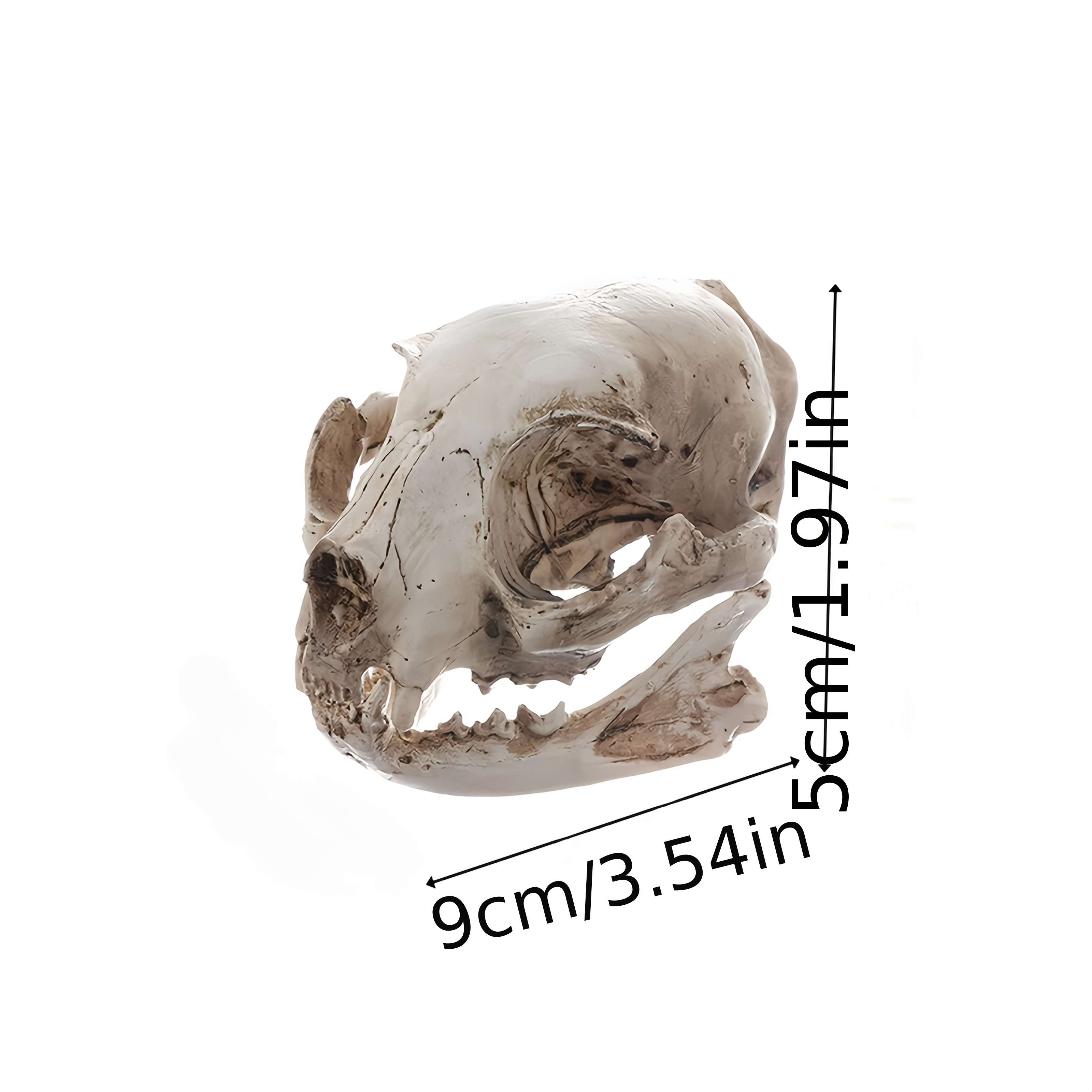 Image of 1pc Resin Decoration - Vintage Style Animal Skeleton Model For Home Decor, Detailed , Neutral Tone, Perfect For Anatomy Study Or Unique Display, Home Decor1pc Resin Decoration - Vintage Style Animal
