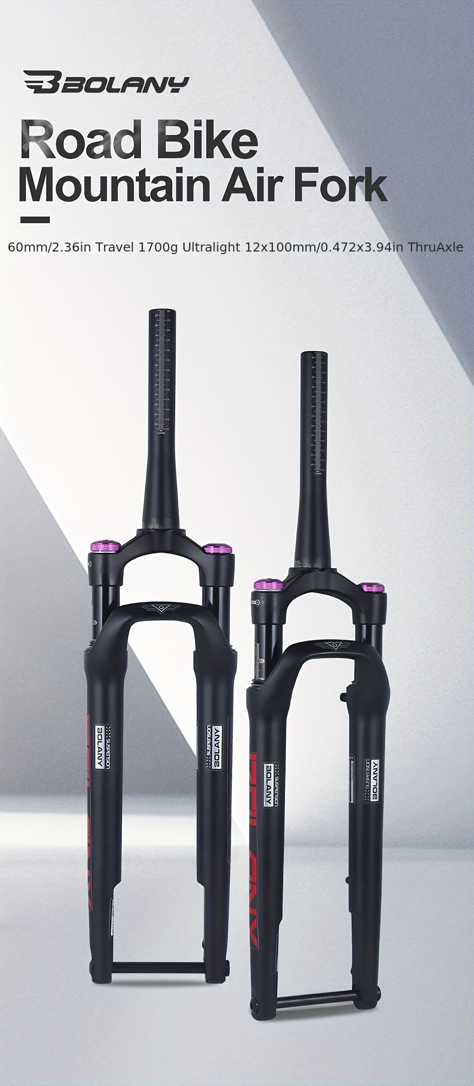 Bolany bike online fork