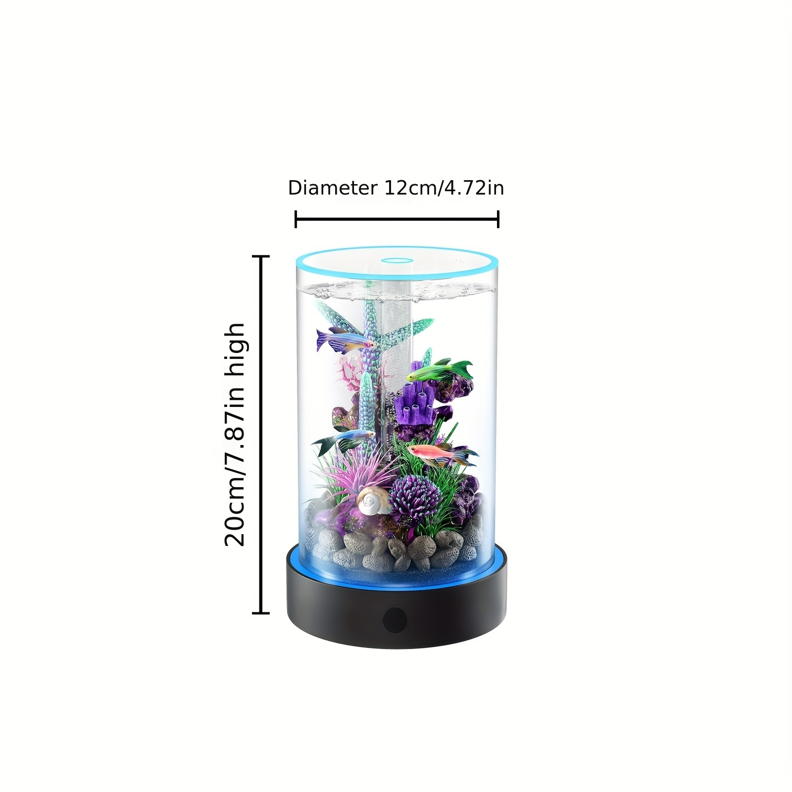 Ecosystem Fish Tank, Desktop Fish Tank Micro Landscape
