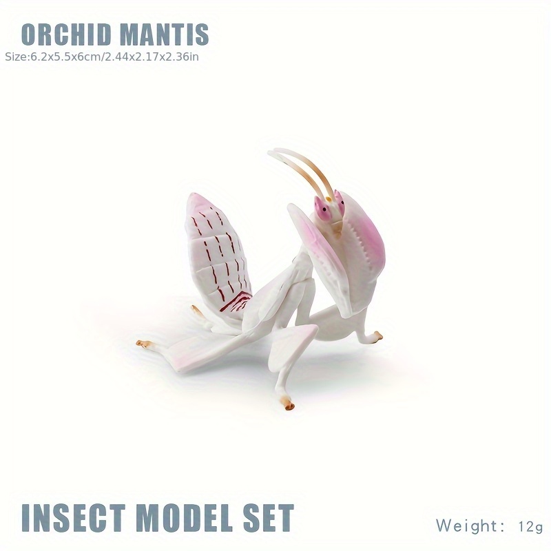 Insect Animal Models Educational Toys
