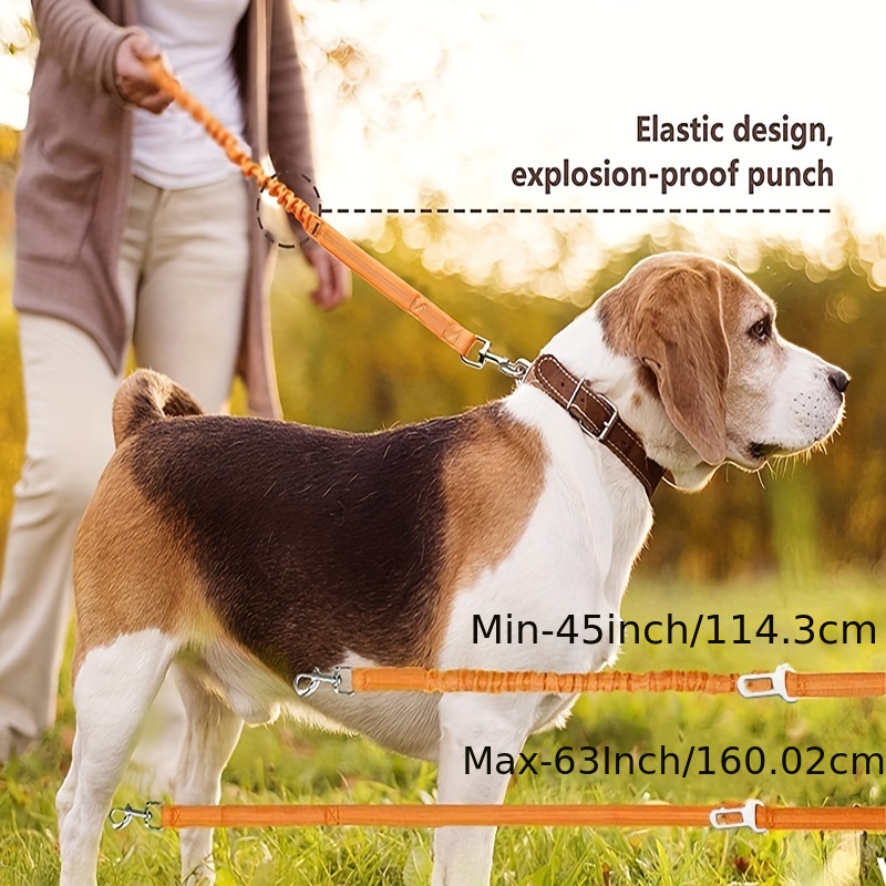 Bungee Dog Leash No Pull Dog Leash Shock Absorption Dog Temu