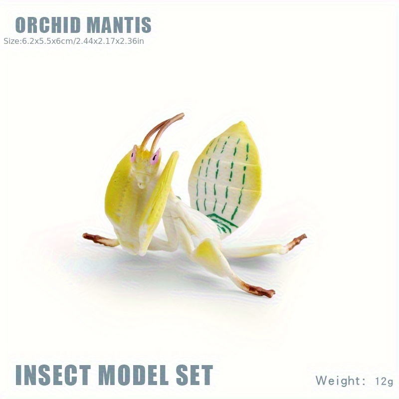 Insect Animal Models Educational Toys