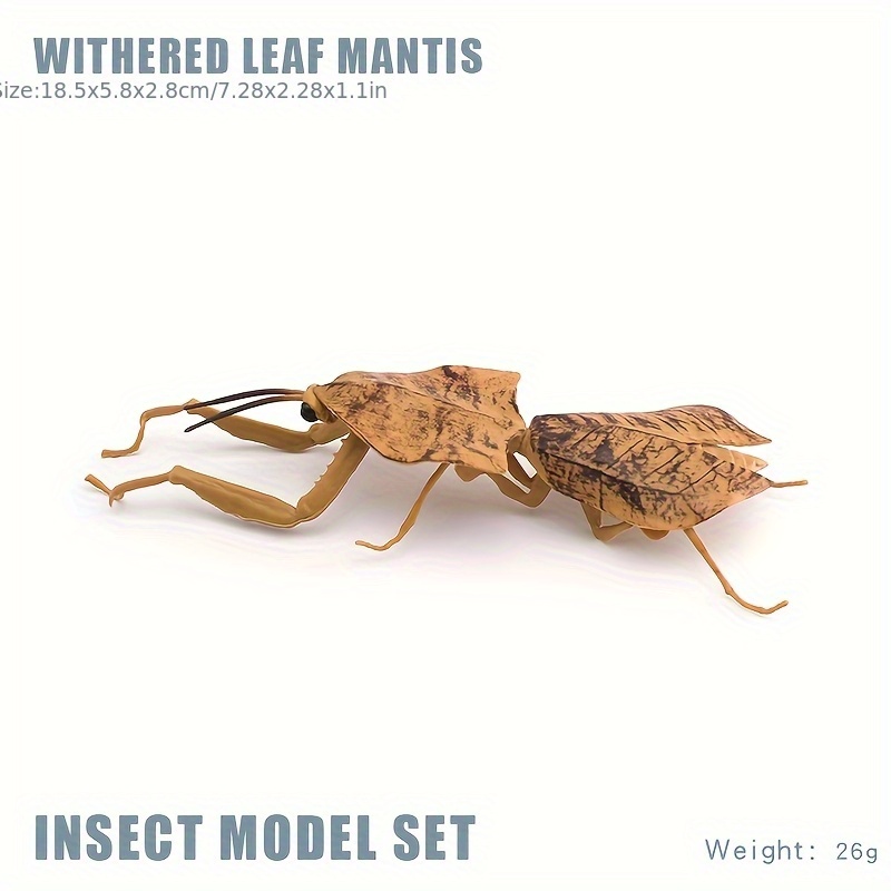 Insect Animal Models Educational Toys