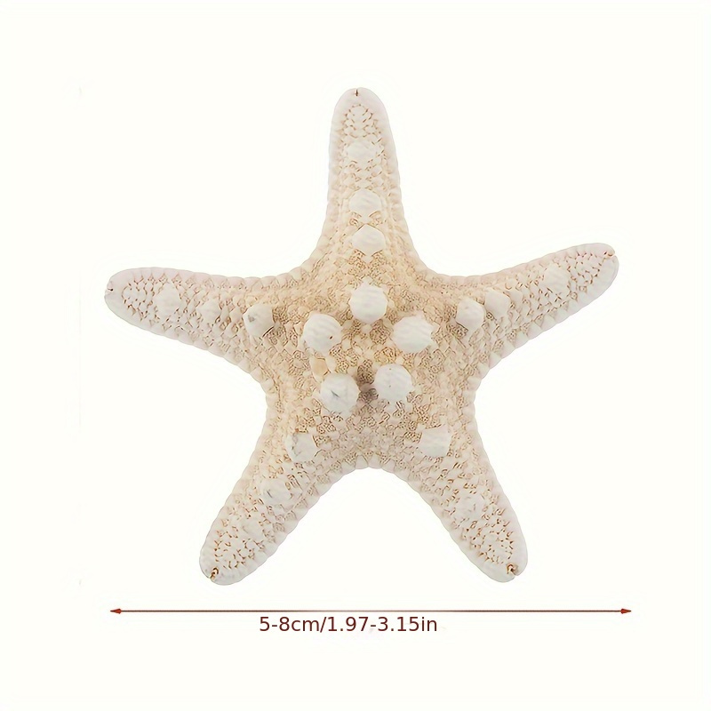 1pc Colección Adornos Estrellas Mar Naturales Decoración - Temu Chile