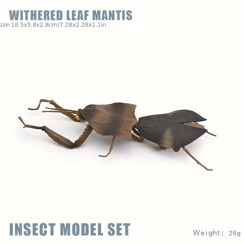 Insect Animal Models Educational Toys