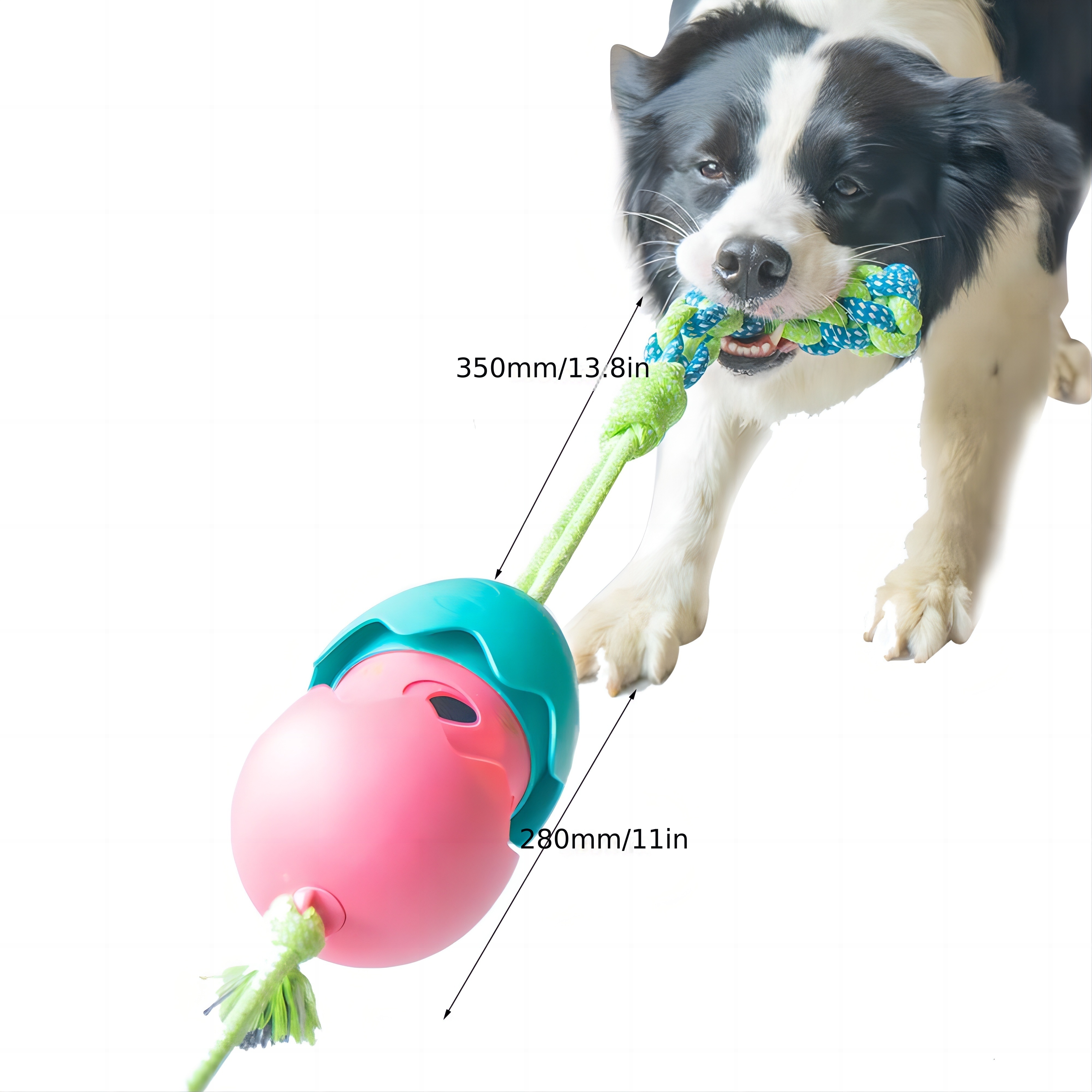 Dog Chewy Squeaky Toy Interactive Ball Egg Shaped Teeth Cleaning Toy