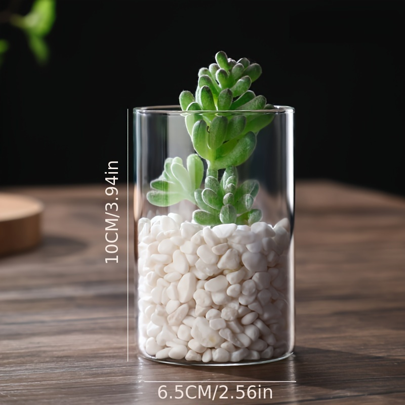 1pc Home Decor Clear Glass Flower Vase Minimalist Glass Vase Cylinder Flower Vase Use For Floral Wedding