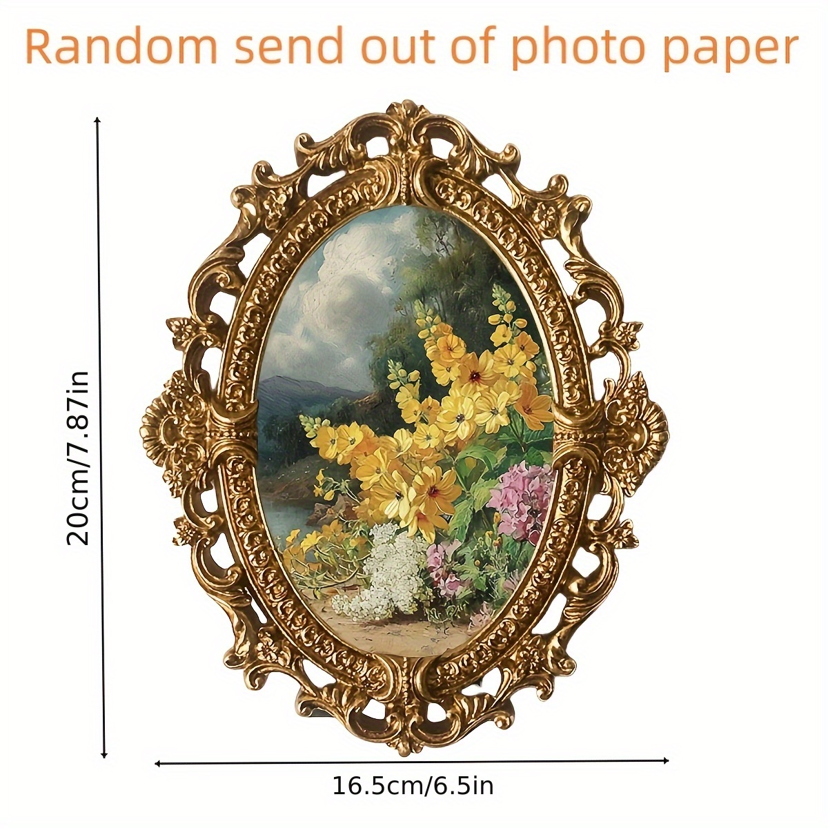 European-style Oval Resin Photo Frame, Photo Paper Included ()