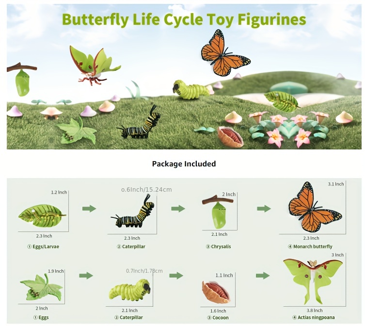 Safari Ltd. Life Cycle of a Monarch Butterfly - Educational Toy Figurines -  Miniature Butterfly Lifecycle Collection for Boys, Girls & Kids Age 4+