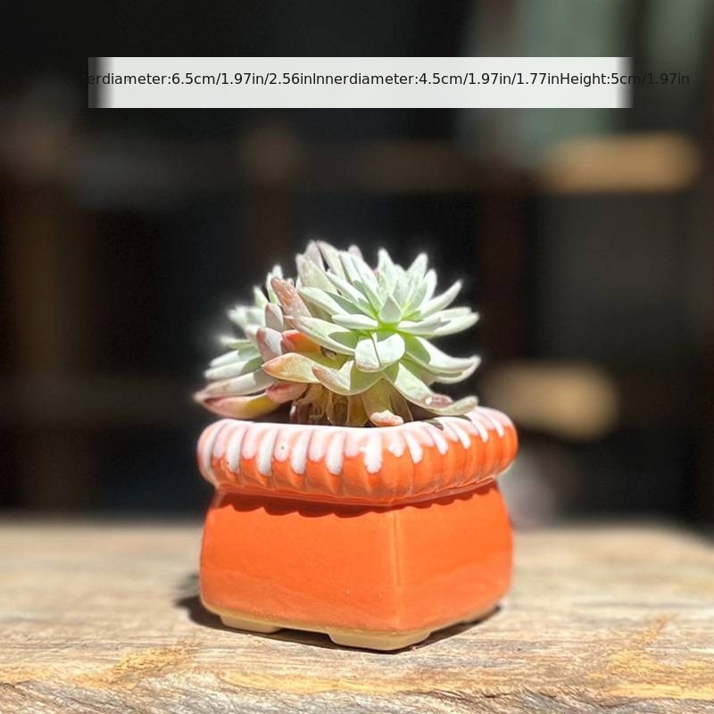 Simple Glazed Ceramic Flowerpot Ideal For Growing Succulents - Temu United  Arab Emirates