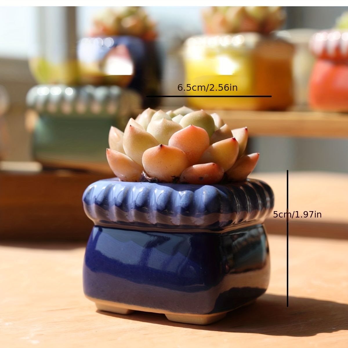 Simple Glazed Ceramic Flowerpot Ideal For Growing Succulents - Temu United  Arab Emirates