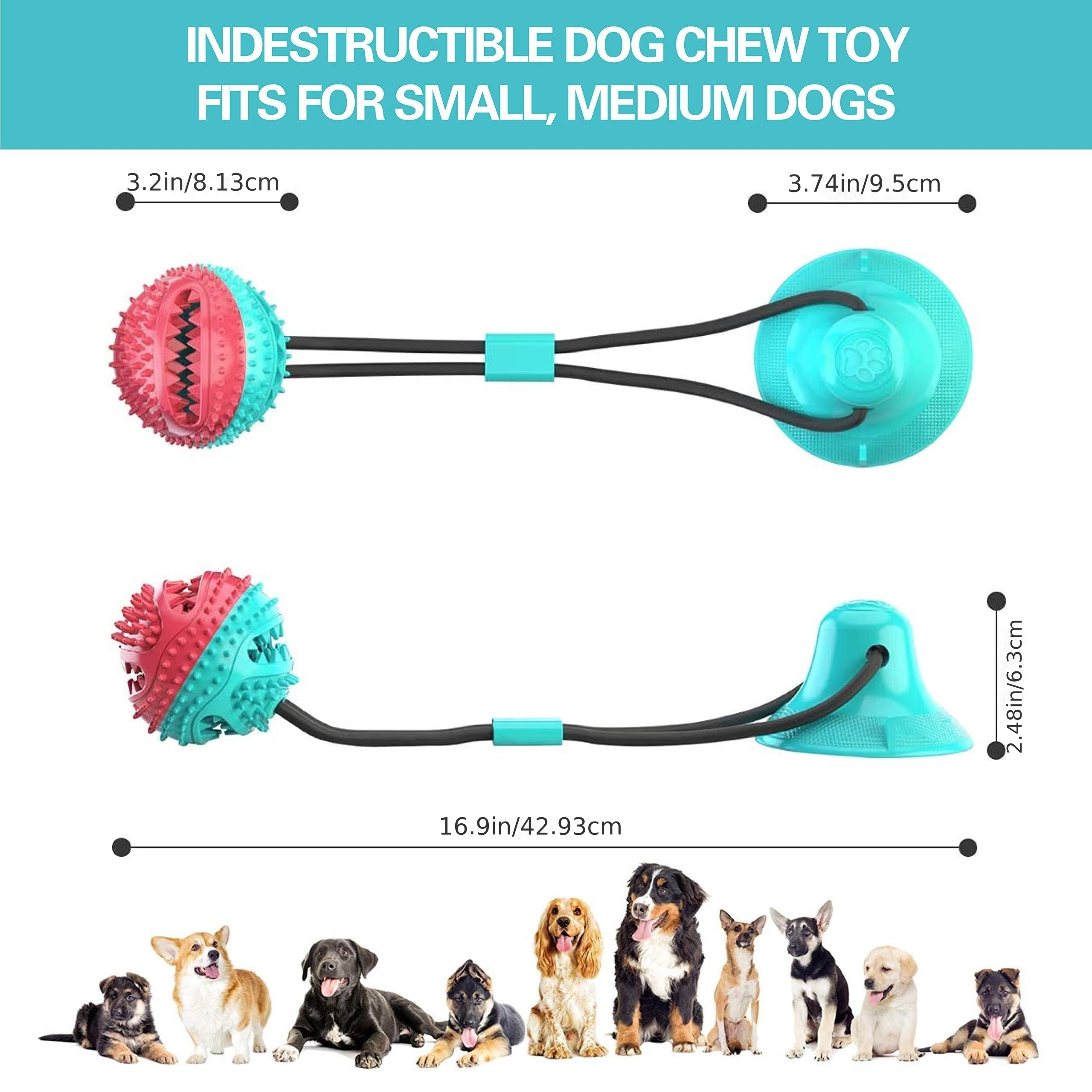 Upgrade Suction Cup Dog Toy Dog Chew Toys Interactive Dog Toys Dog Teeth  Cleaning Toys Pet Molar Bite Toy Dog Squeaky Tug Toy For Dogs Non-toxic &  Durable Dog Toys 2023 