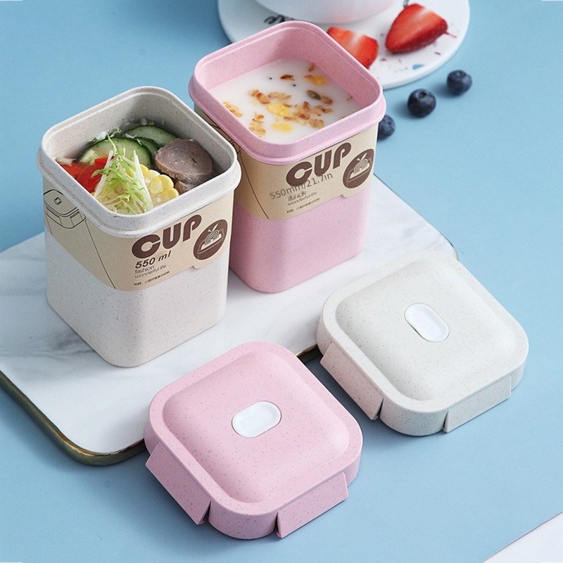 portable meal container bento lunchbox porridge