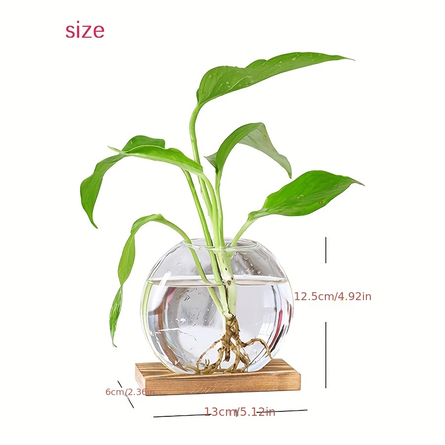 1/2 Pz Desktop Rotondo Fioriera In Vetro Terrario Vaso Fiori - Temu Italy