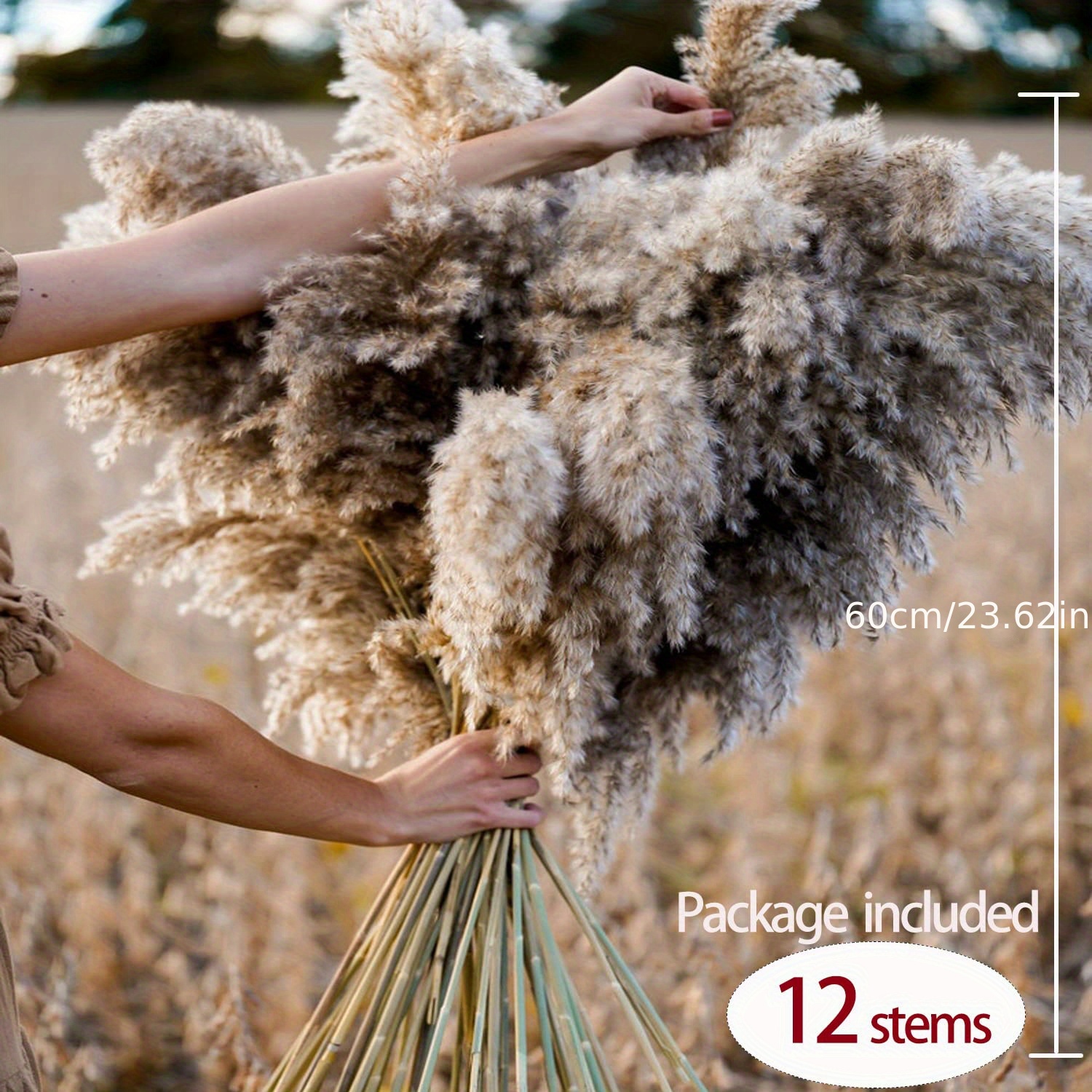 10 20pcs Large Dried Pampas Grass Decor Boho Decor Pompas Floral  Arrangements Home Wedding Yard Party Photography Fall Halloween Room Decor  Winter Xmas Home Decor, Today's Best Daily Deals