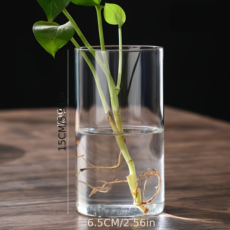 Clear Glass Flower Vase Minimalist Glass Vase Cylinder Flower Vase Use For Floral Wedding Home Decor