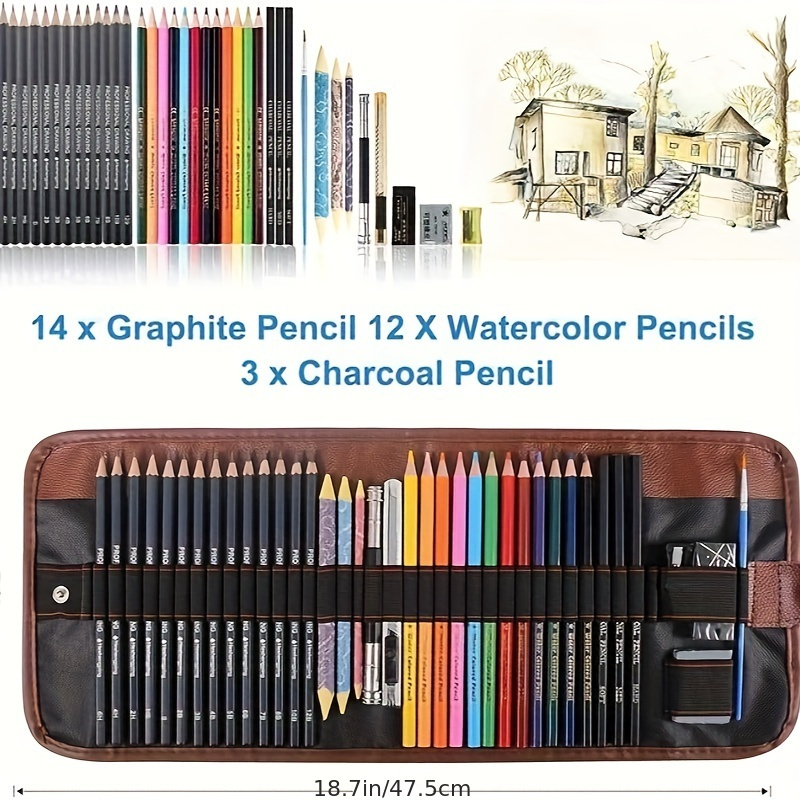 83 Set di matite da colorare, matite da disegno Forniture artistiche con  matite di grafite a carboncino, matite da disegno per artisti adulti