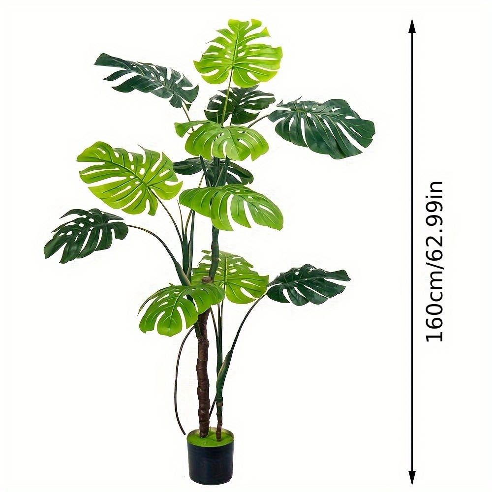 monstera owoc Monstera – Tipton & Hurst main image 1