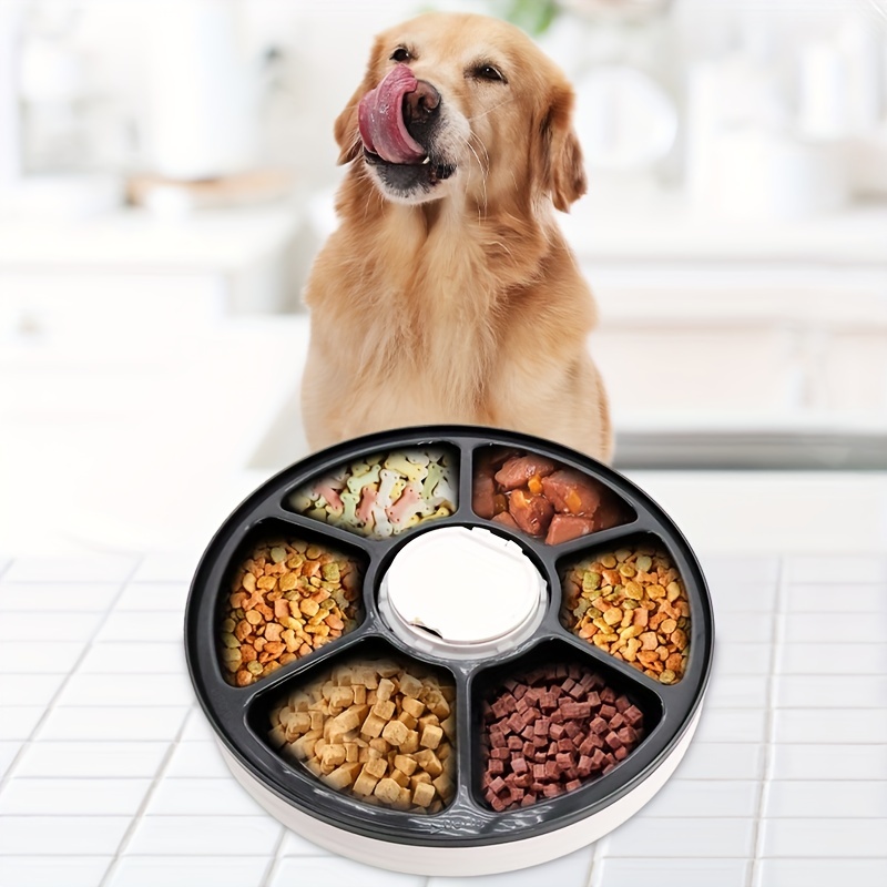 Dog Bowls, Cat Food and Water Bowls Stainless Steel, Double Pet Feeder Bowls  with No Spill Non-Skid Silicone Mat, Dog Dishes for Small Medium Dogs Cats  Puppies, Set of 2 Bowls S-6oz,Bone