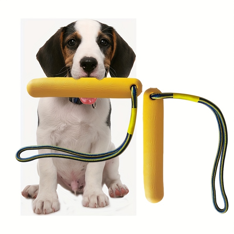 5PCS Spring Pole Dog Rope Toys, Tree Bungee Hanging Dog Toys, Indoor  Outdoor Dog Bungee Tug Interactive Exercise Toys, Pull & Tug of War Dog Toy  with