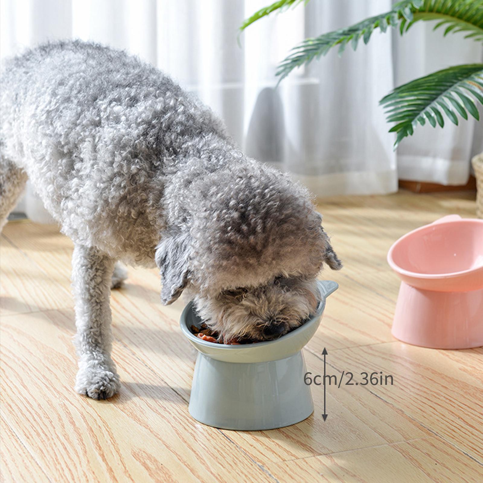Keep Cat's Mealtime Safe Stylish Cat Ear shaped Pet Temu