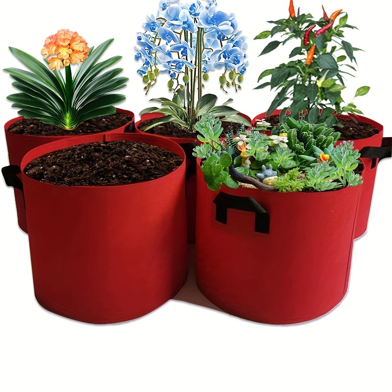 https://img.kwcdn.com/product/flower-vegetable-planting-plant-pots-bpa-free-non-woven-fabric-planter-container/d69d2f15w98k18-26e07a0c/Fancyalgo/VirtualModelMatting/fbdd08d01cc2f2cf72c82fe35e599352.jpg?imageView2/2/w/500/q/60/format/webp